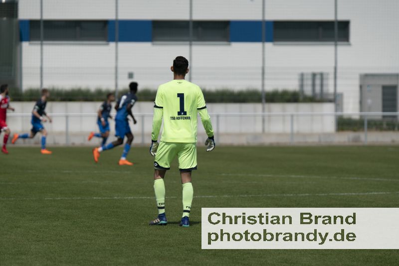 chb-20180421-1207-6556.jpg